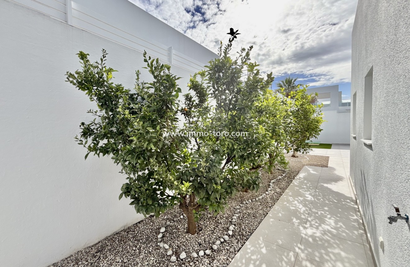 New Build - Villa - Benijófar