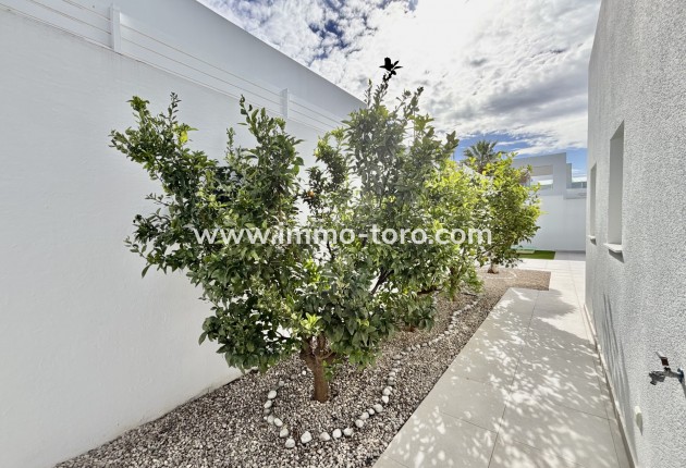 New Build - Villa - Benijófar