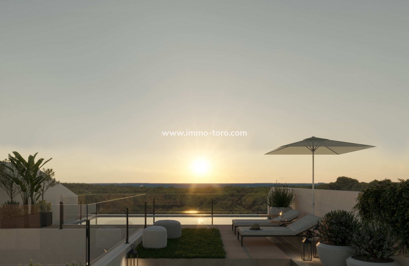 New Build - Penthouse - Guardamar - Guardamar del Segura