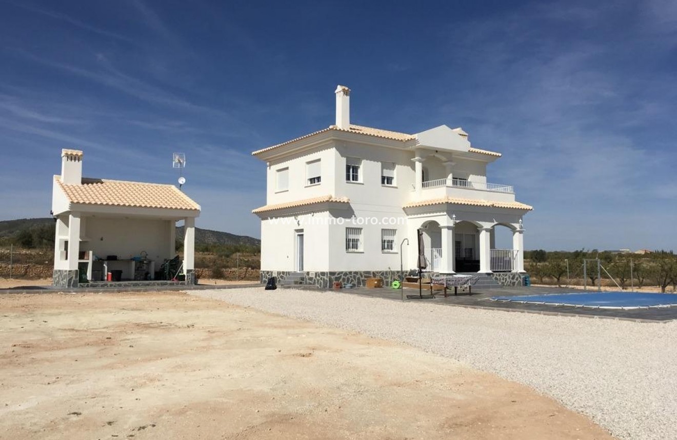 New Build - Villa - Pinoso