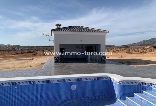 New Build - Villa - Pinoso