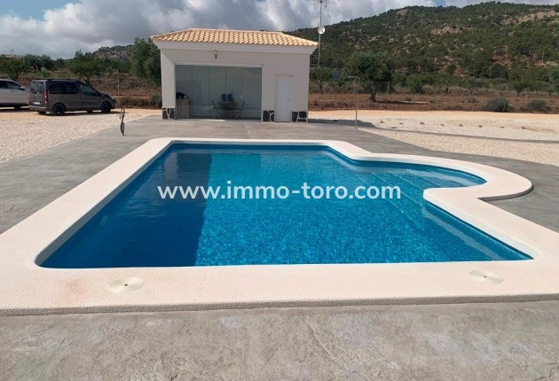 New Build - Villa - Pinoso