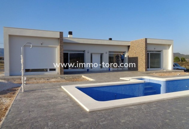 New Build - Villa - Pinoso