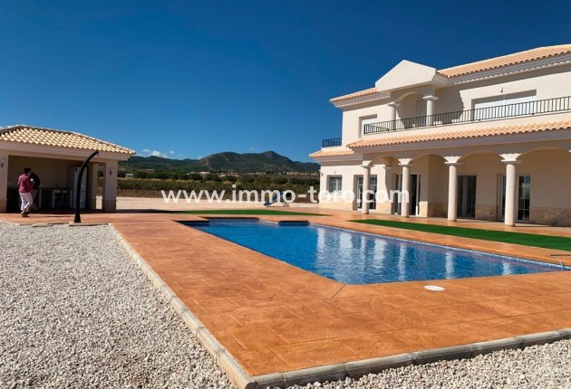 New Build - Villa - Pinoso