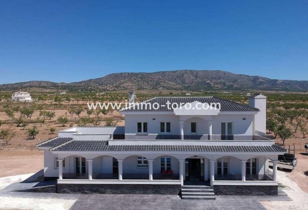 New Build - Villa - Pinoso