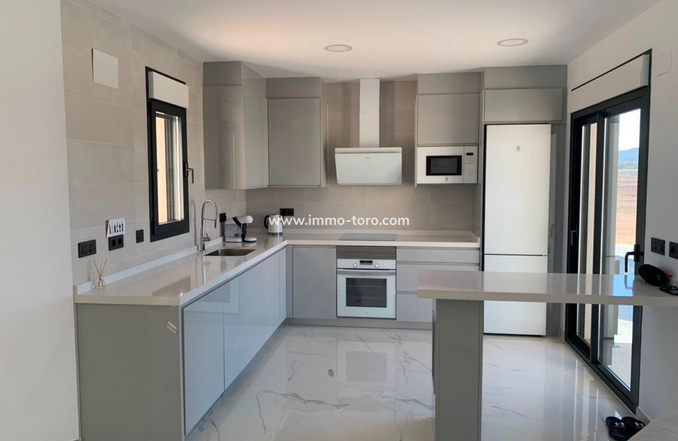 New Build - Villa - Pinoso