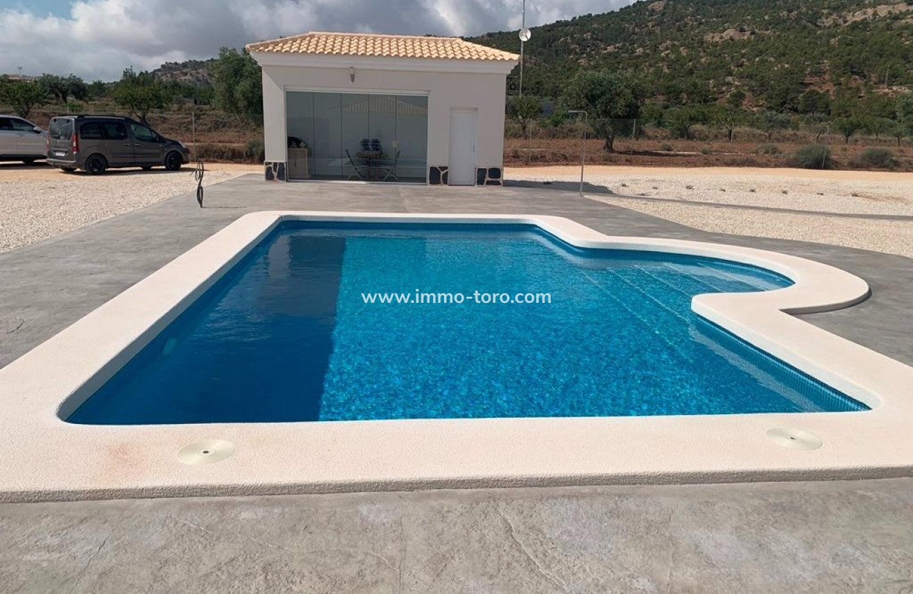 New Build - Villa - Pinoso