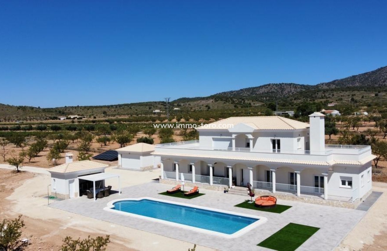 Nieuwbouw - Villa - Pinoso