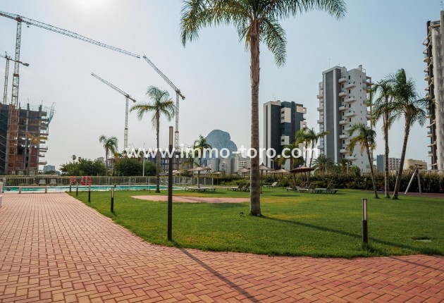 Resale - Apartment - Calpe - Playa arenal-bol