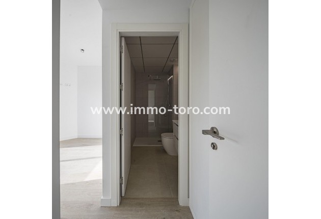 New Build - Penthouse - Murcia