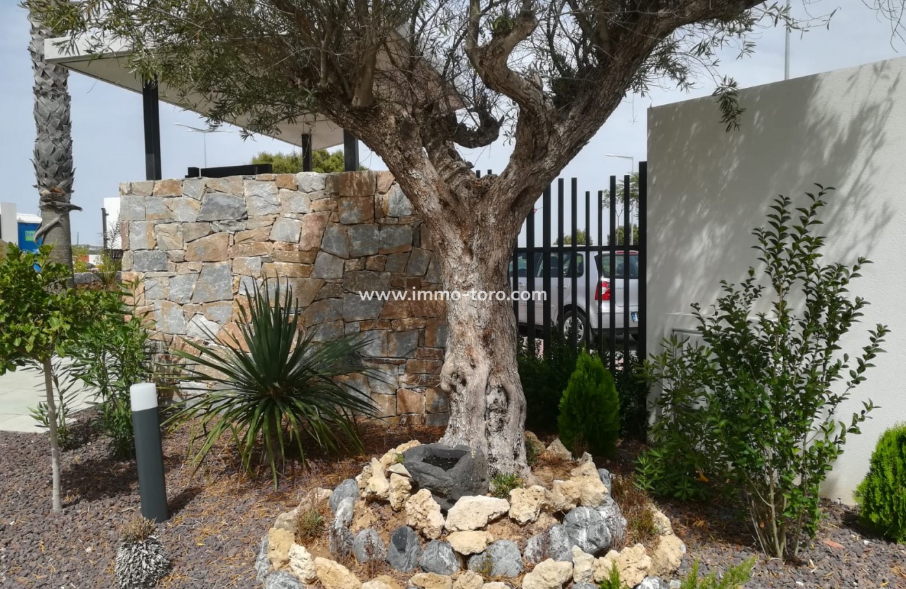 New Build - Apartment - Torrevieja