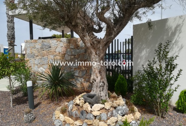 New Build - Apartment - Torrevieja