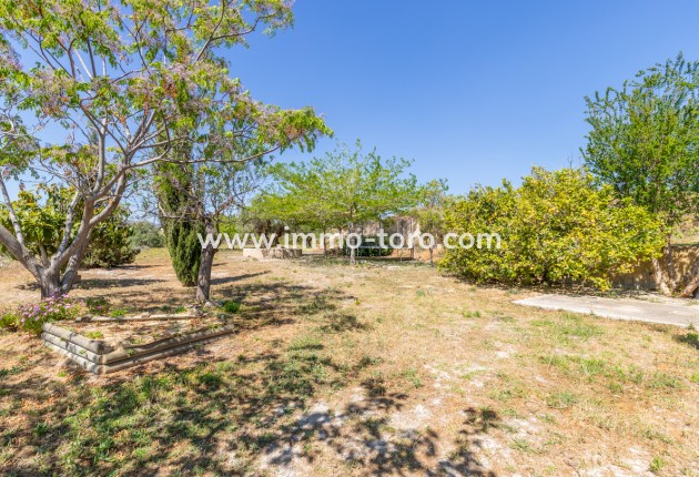Venta - Villa / Chalet - Teulada - Campo