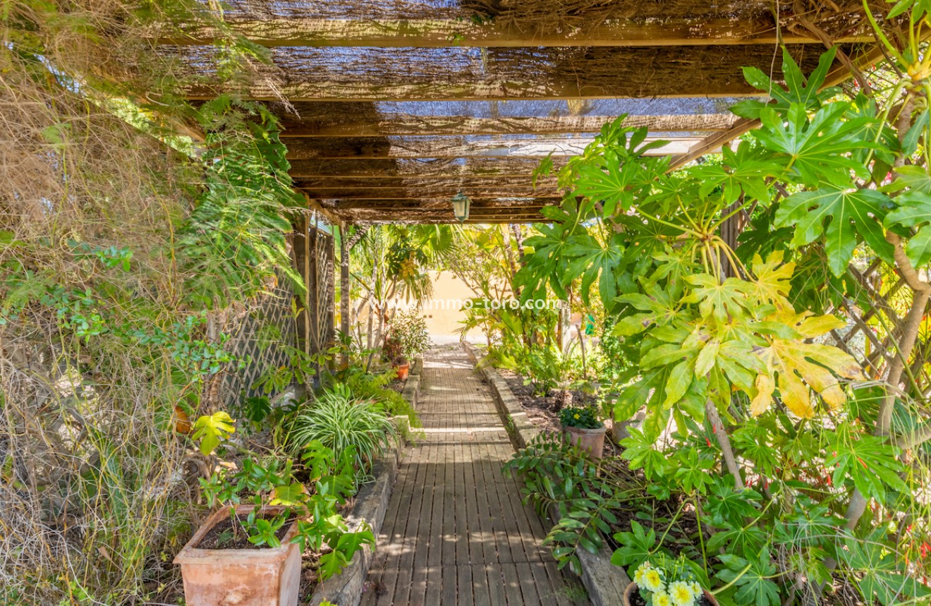 Venta - Villa / Chalet - Teulada - Campo