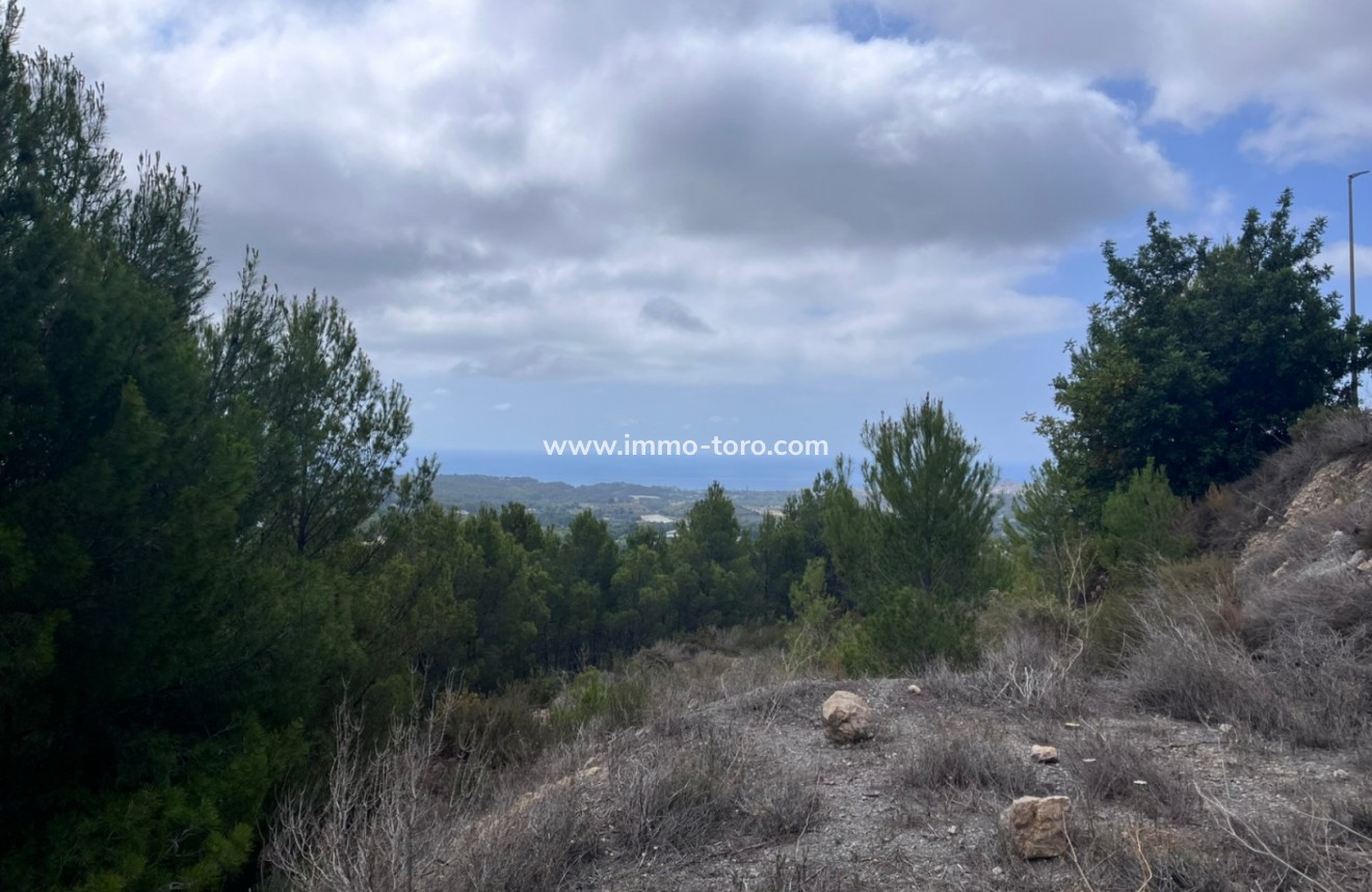 Venta - Plot - Callosa de Ensarriá