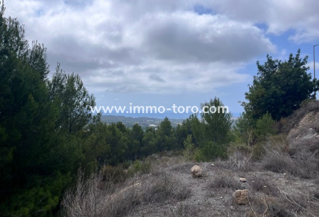 Venta - Plot - Callosa de Ensarriá