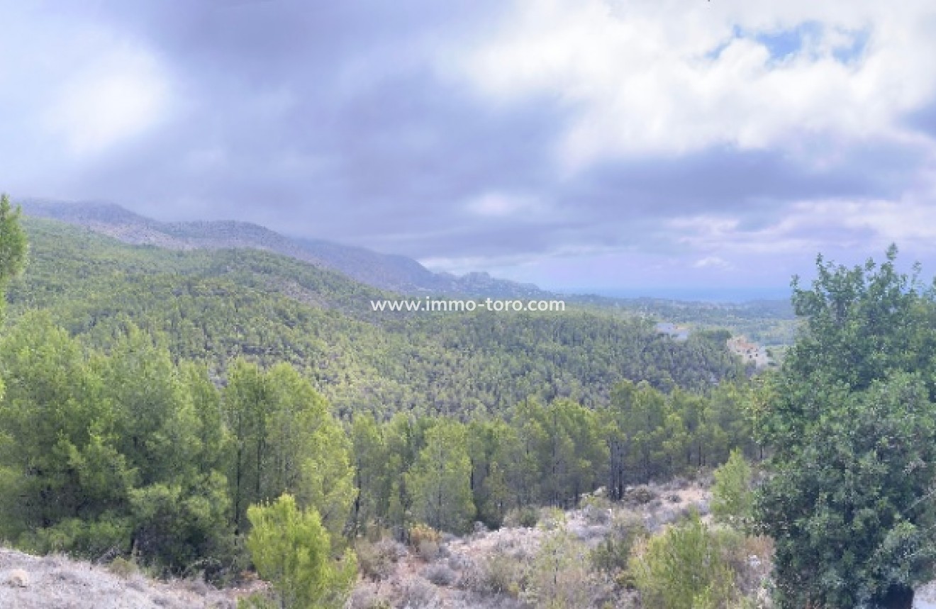 Venta - Plot - Callosa de Ensarriá