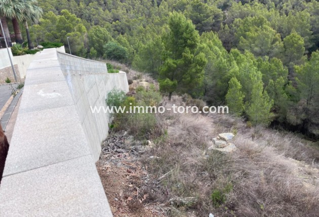 Venta - Plot - Callosa de Ensarriá