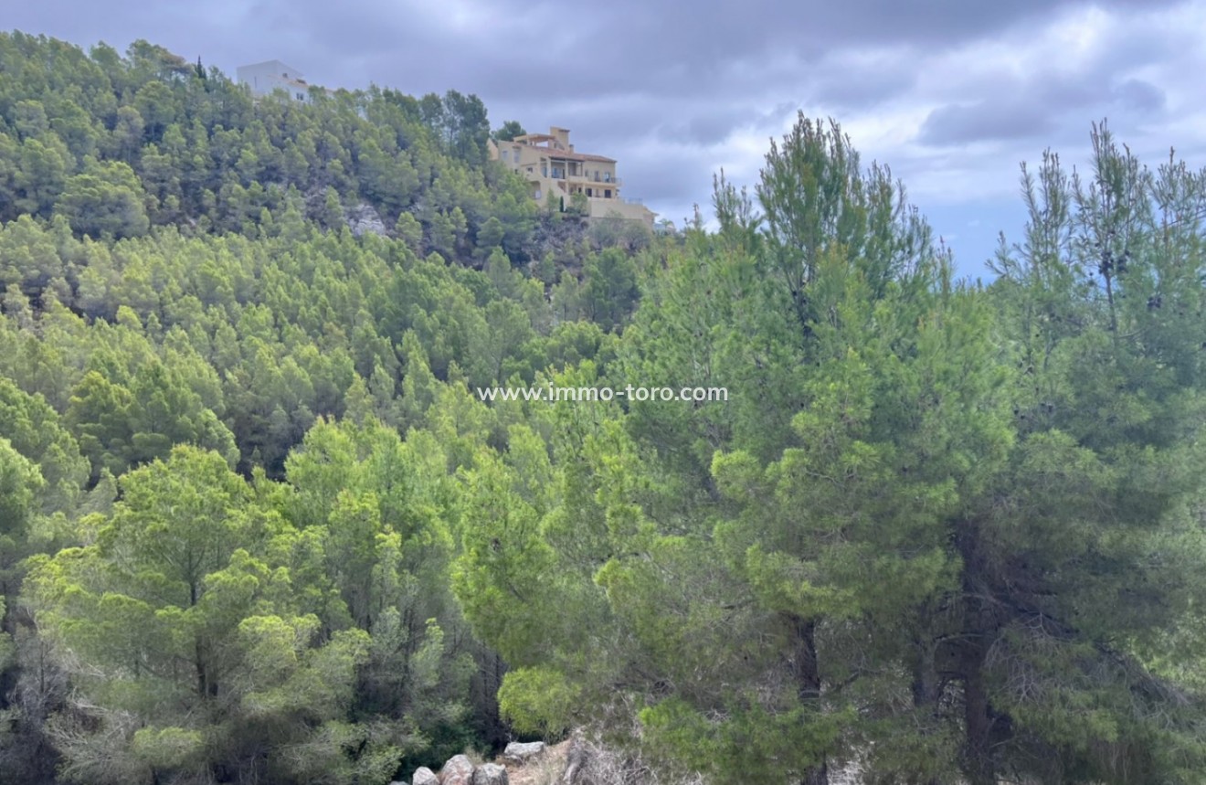 Venta - Plot - Callosa de Ensarriá