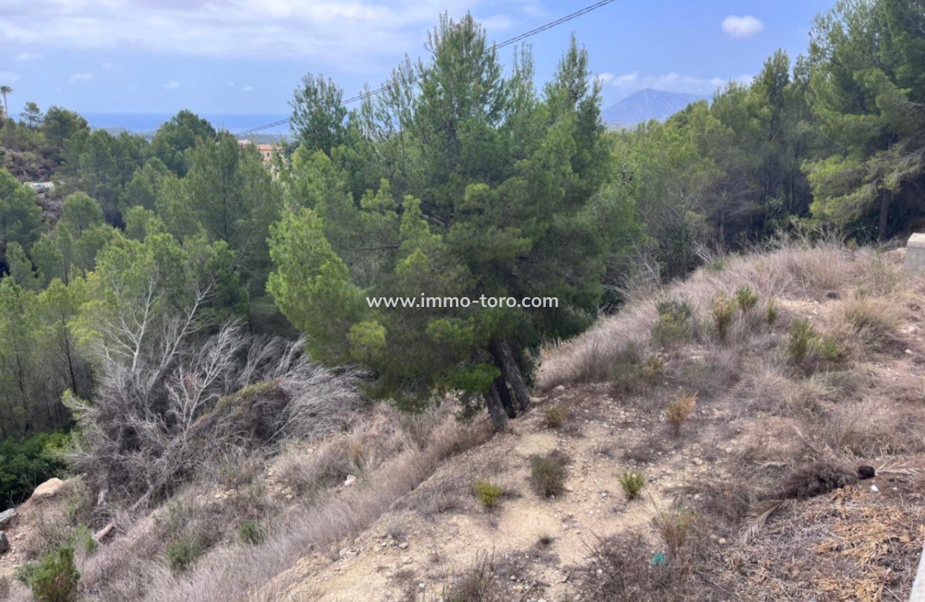 Venta - Plot - Callosa de Ensarriá