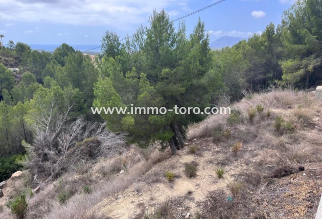 Venta - Plot - Callosa de Ensarriá