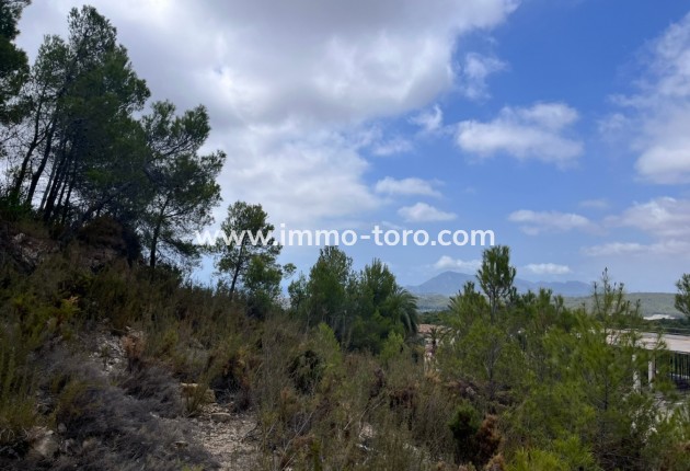 Venta - Plot - Callosa de Ensarriá