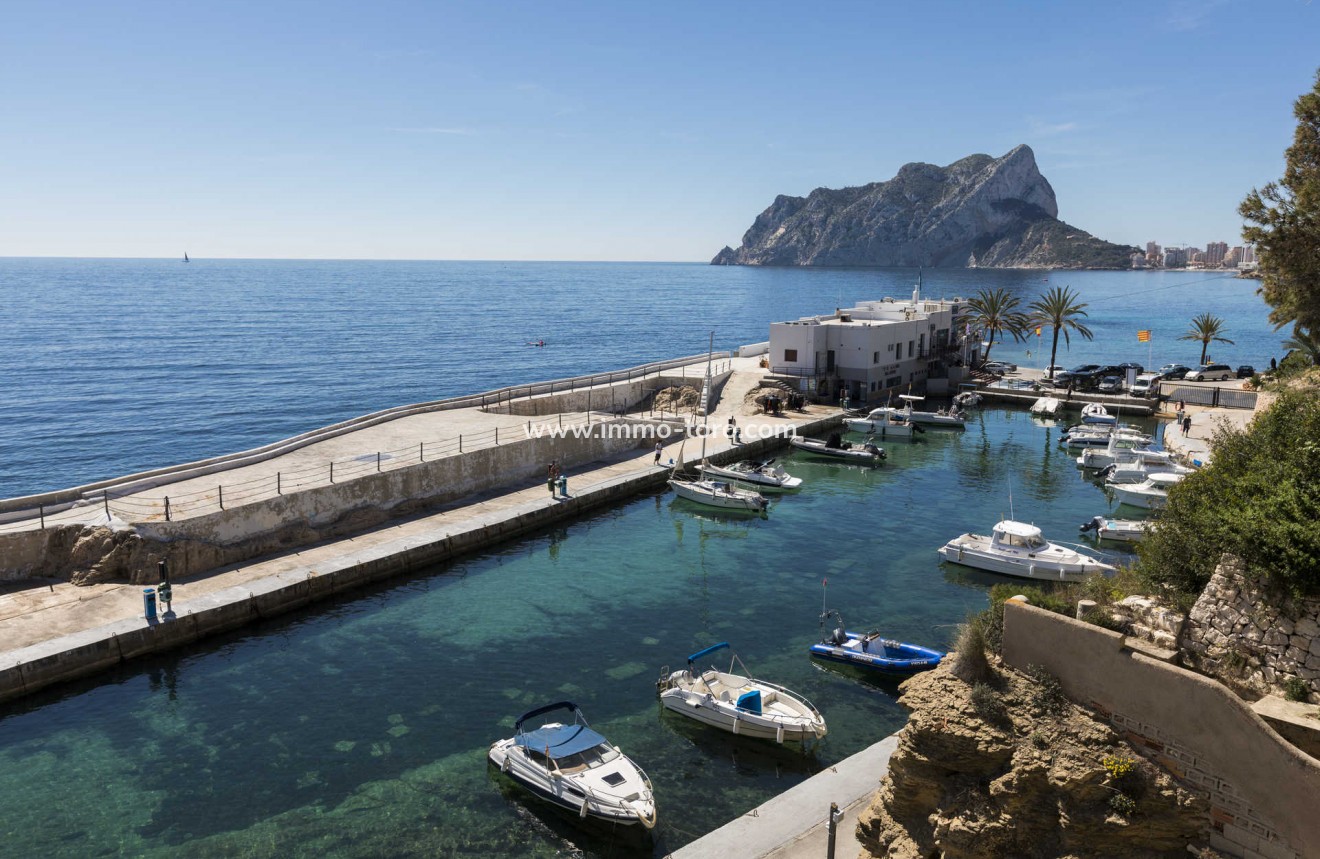 Nueva construcción  - Villa / Chalet - Benissa - La Fustera