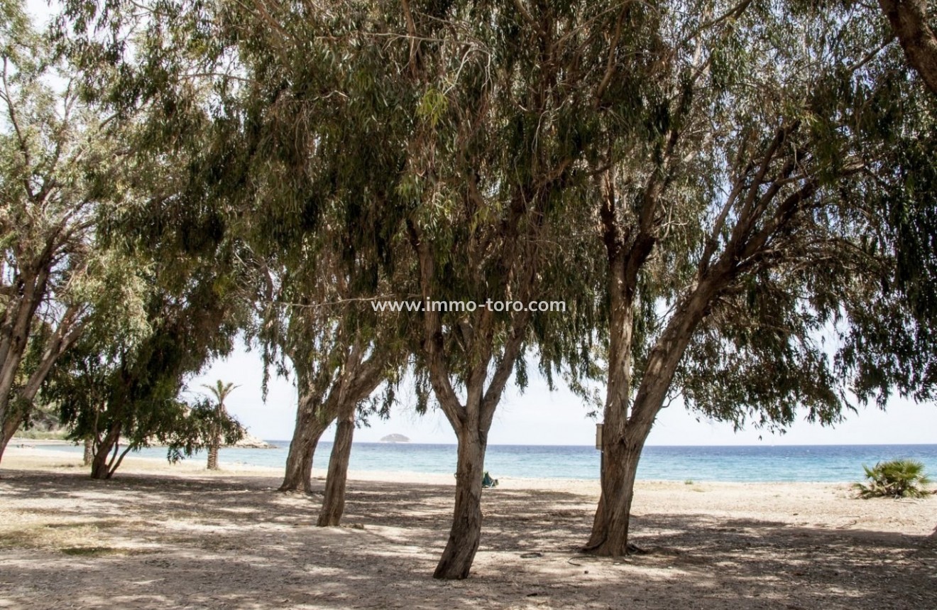 Nieuwbouw - Appartement  - Villajoyosa - Playa Les Torres