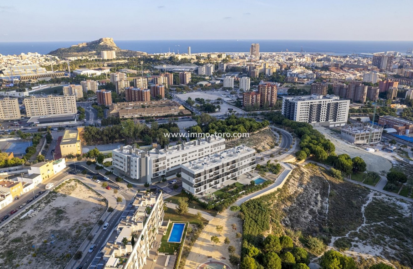 Nouvelle construction - Penthouse - Alicante - San Agustín-PAU 2