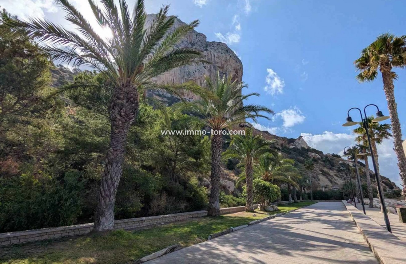 Venta - Villa / Chalet - Calpe - Cometa-Carrió