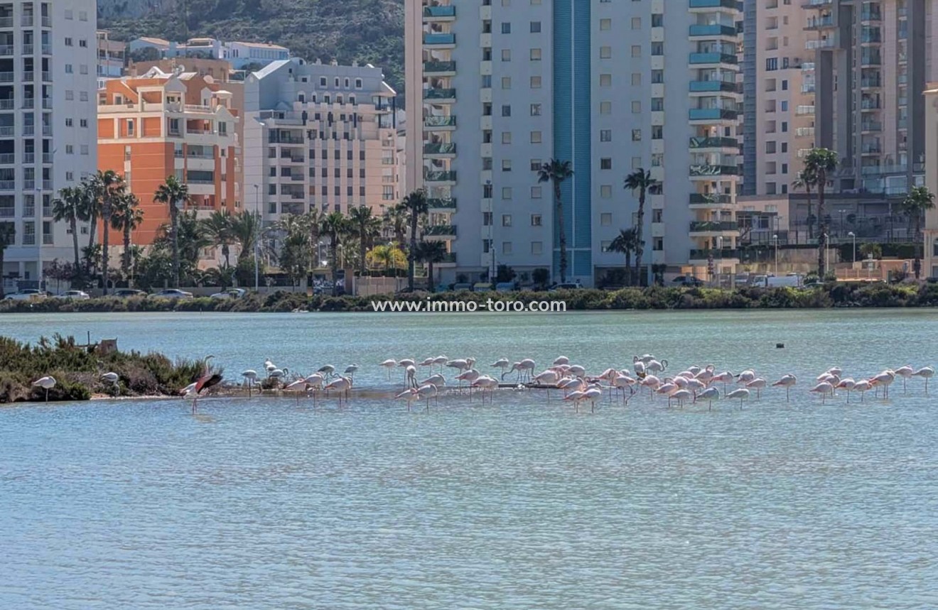 Venta - Villa / Chalet - Calpe - Cometa-Carrió