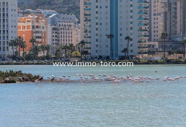 Venta - Villa / Chalet - Calpe - Cometa-Carrió