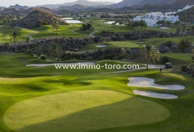 Nouvelle construction - Penthouse - Pulpi - Aguilón Golf