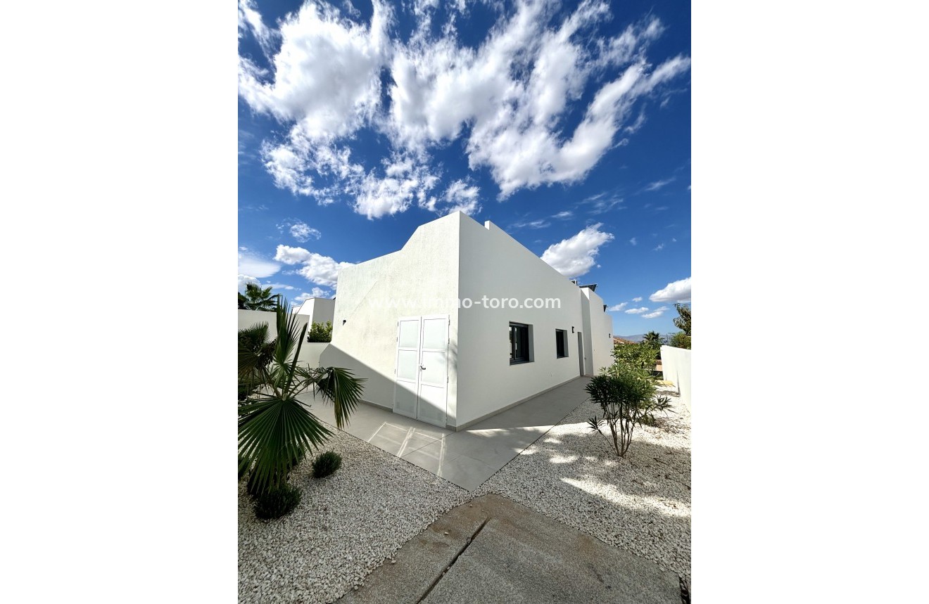 Nieuwbouw - Villa - Benijófar