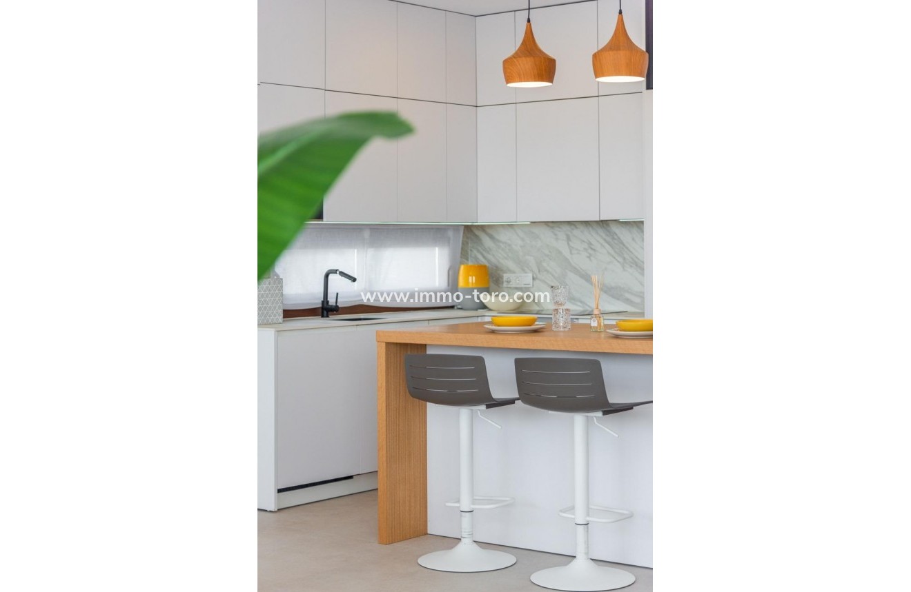 New Build - Villa - Vera - Vera Playa