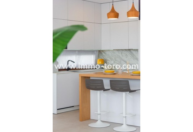 New Build - Villa - Vera - Vera Playa