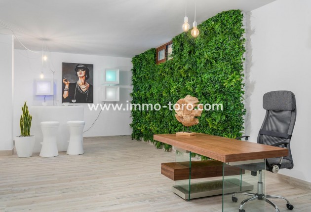 New Build - Villa - Vera - Vera Playa