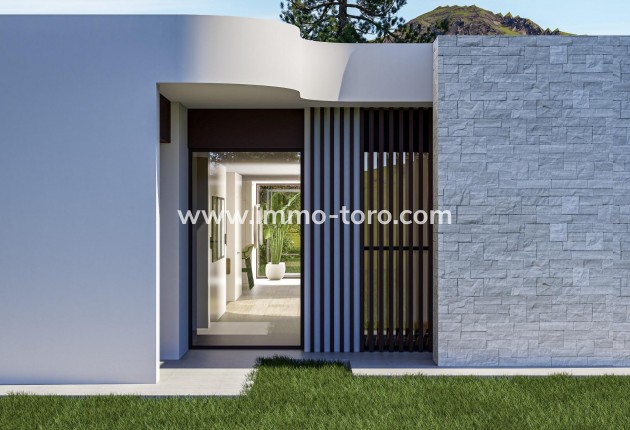 Nieuwbouw - Villa - Pinoso - Lel