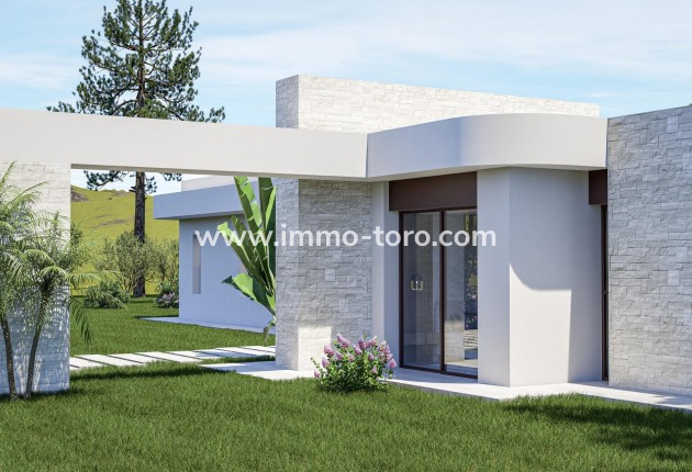 New Build - Villa - Pinoso - Lel