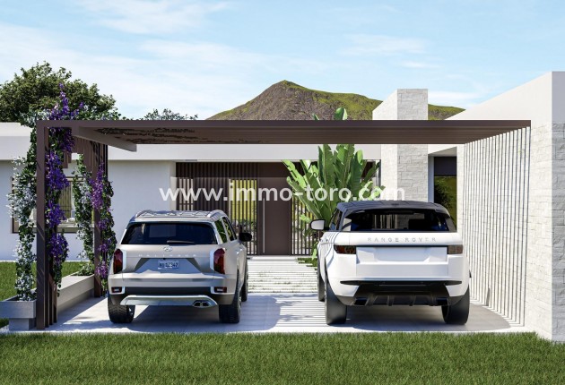 New Build - Villa - Pinoso - Lel