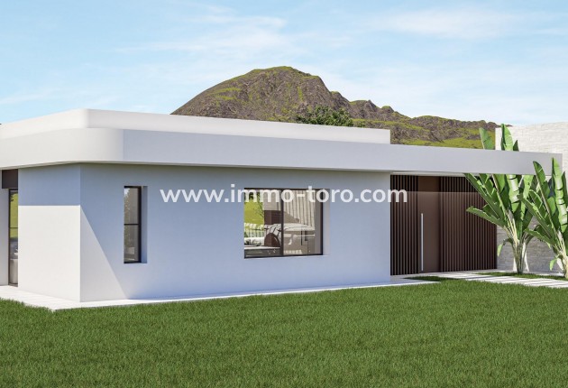 New Build - Villa - Pinoso - Lel
