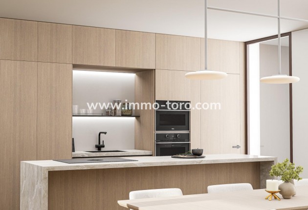 New Build - Villa - Pinoso - Lel