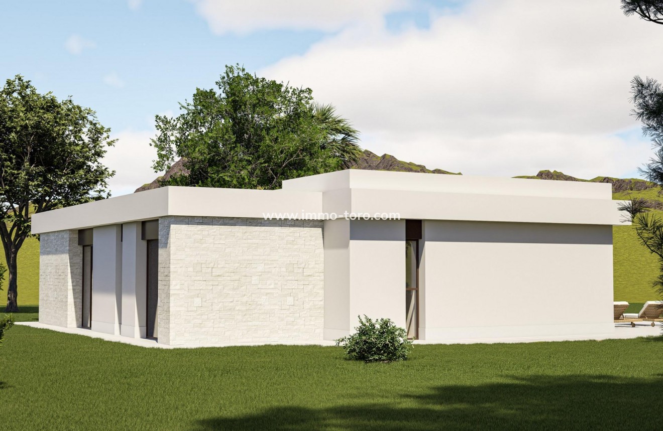 New Build - Villa - Pinoso - Lel