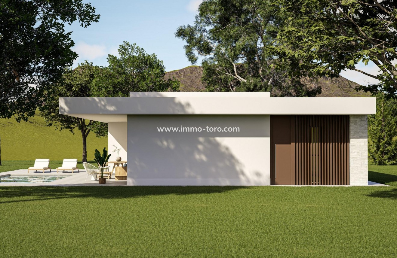 New Build - Villa - Pinoso - Lel