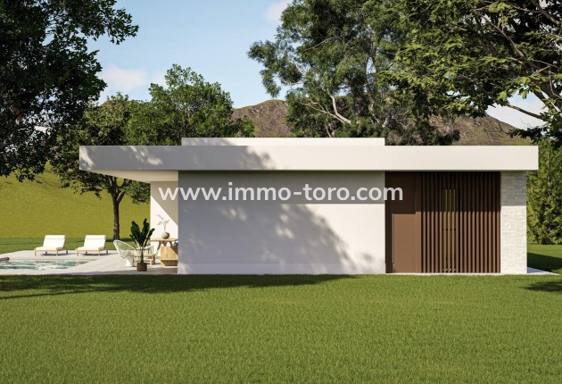New Build - Villa - Pinoso - Lel