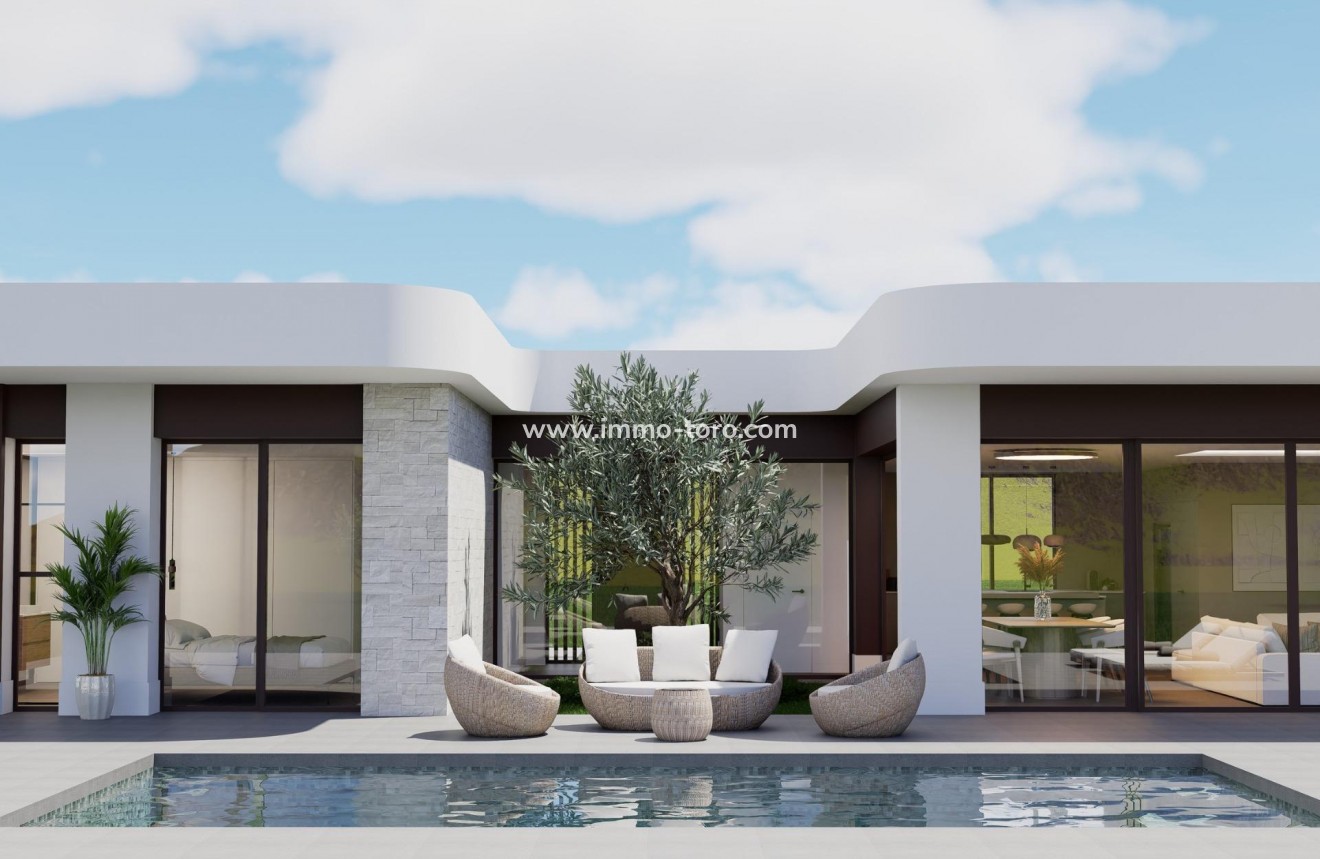 New Build - Villa - Pinoso - Lel