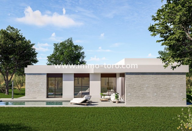 New Build - Villa - Pinoso - Lel