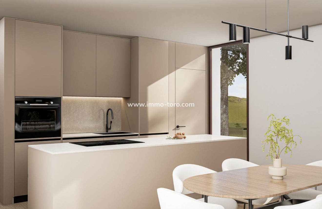 New Build - Villa - Pinoso - Lel