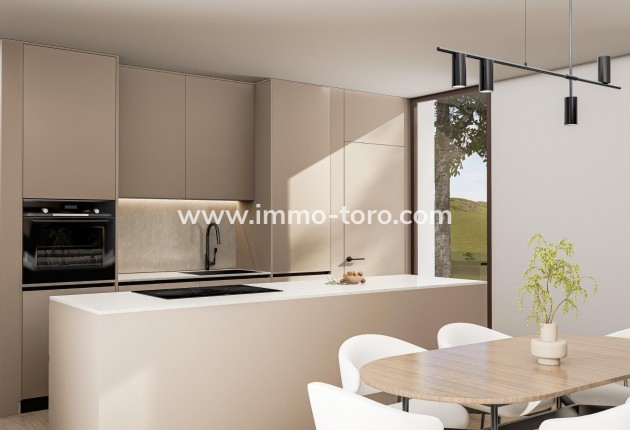 New Build - Villa - Pinoso - Lel