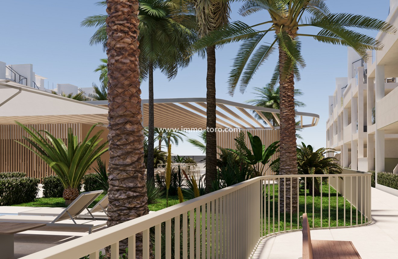 New Build - Apartment - San Cayetano